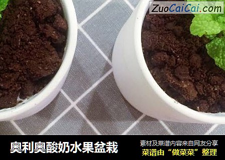 奥利奥酸奶水果盆栽