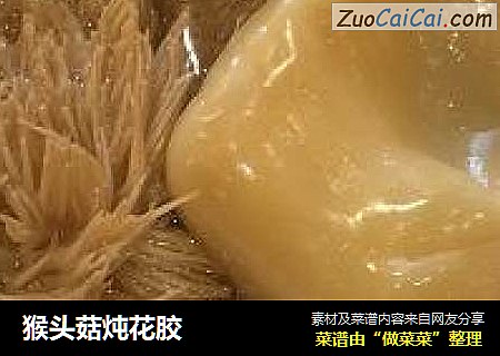猴头菇炖花胶