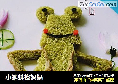 小蝌蚪找妈妈