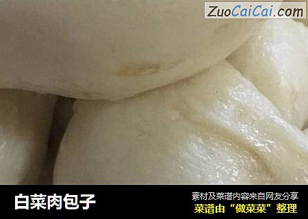 白菜肉包子