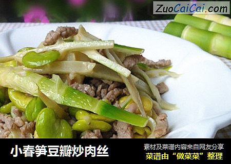 小春笋豆瓣炒肉丝