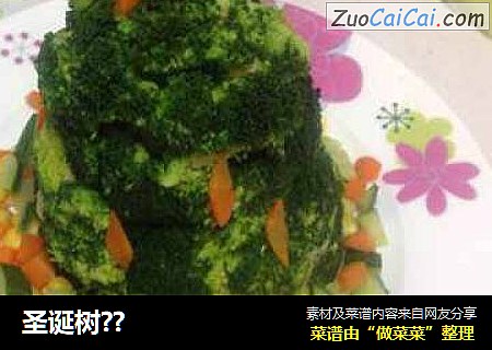 圣诞树？