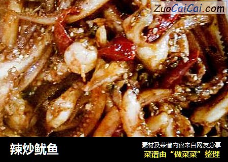 辣炒鱿鱼