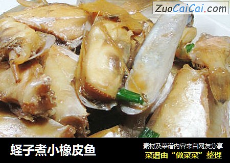 蛏子煮小橡皮鱼