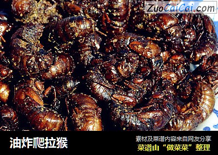 油炸爬拉猴