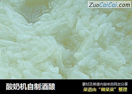 酸奶机自制酒酿