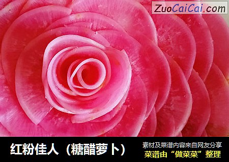 红粉佳人（糖醋萝卜）