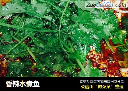 香辣水煮鱼