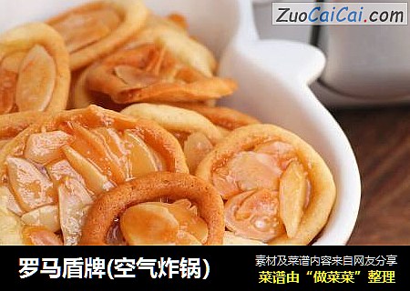 罗马盾牌(空气炸锅）
