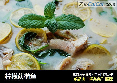 柠檬薄荷鱼