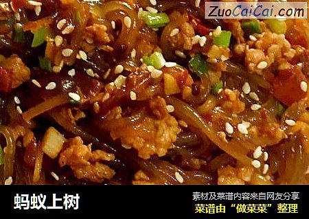 蚂蚁上树