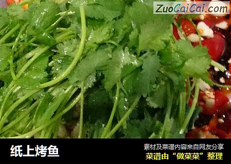 纸上烤鱼