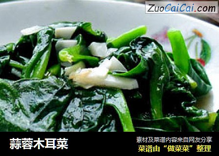 蒜蓉木耳菜