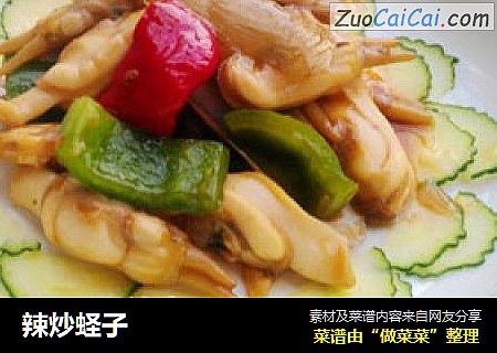 辣炒蛏子