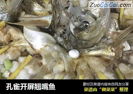 孔雀开屏翘嘴鱼