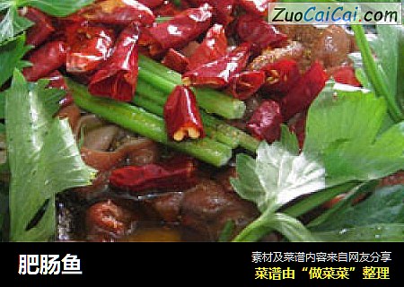 肥肠鱼