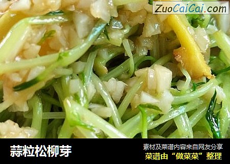 蒜粒松柳芽