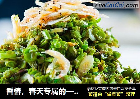 香椿，春天专属的—香椿拌虾皮