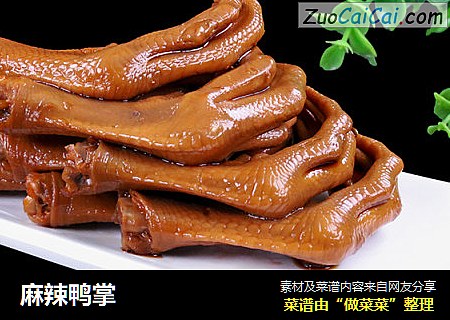 麻辣鸭掌