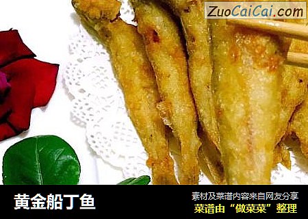 黄金船丁鱼