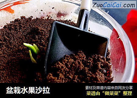 盆栽水果沙拉