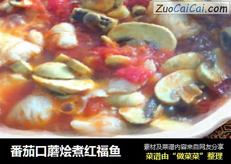 番茄口蘑烩煮红福鱼