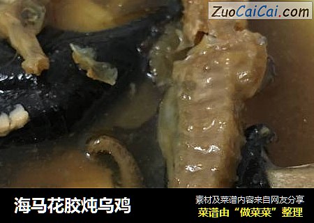 海马花胶炖乌鸡