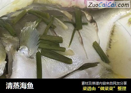 清蒸海鱼
