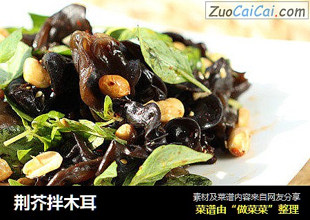 荆芥拌木耳