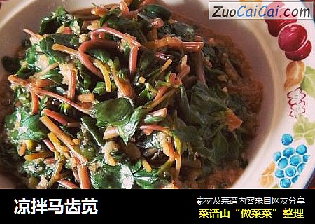 凉拌马齿苋