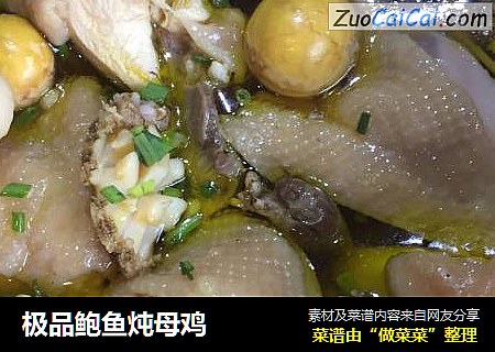 极品鲍鱼炖母鸡