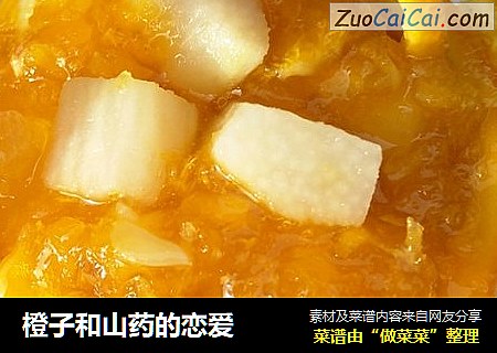 橙子和山药的恋爱