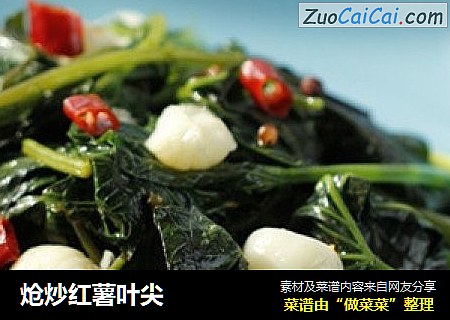 炝炒红薯叶尖