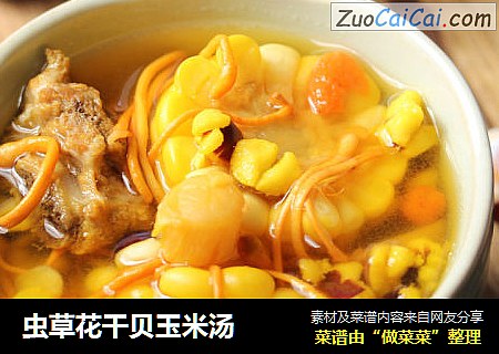 虫草花干贝玉米汤