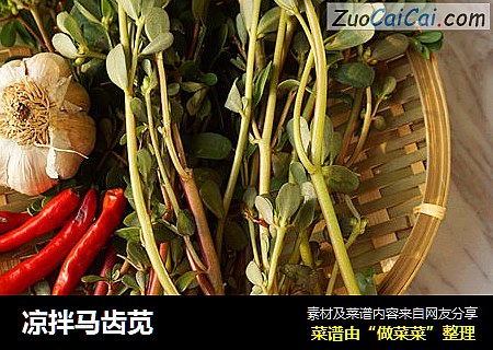 凉拌马齿苋