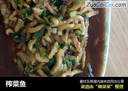 榨菜鱼