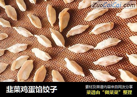 韭菜鸡蛋馅饺子