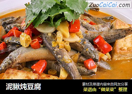 泥鳅炖豆腐