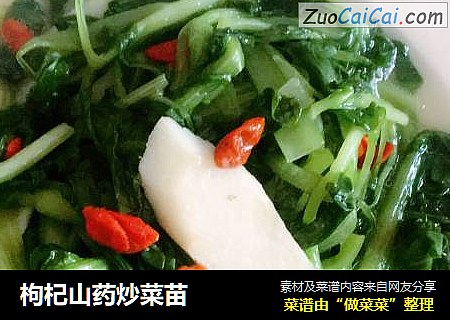 枸杞山药炒菜苗