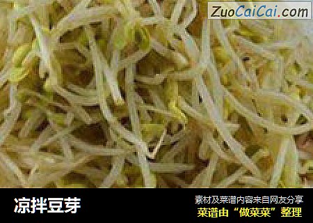凉拌豆芽