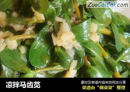 凉拌马齿苋