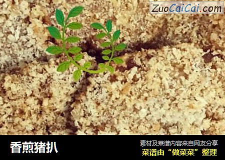 香煎猪扒