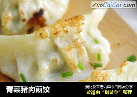 青菜猪肉煎饺