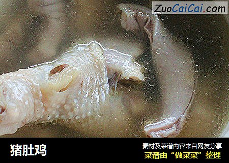 猪肚鸡