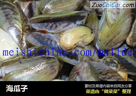 海瓜子
