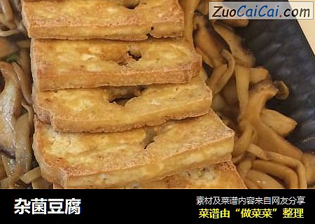 杂菌豆腐