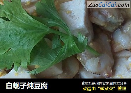 白蚬子炖豆腐