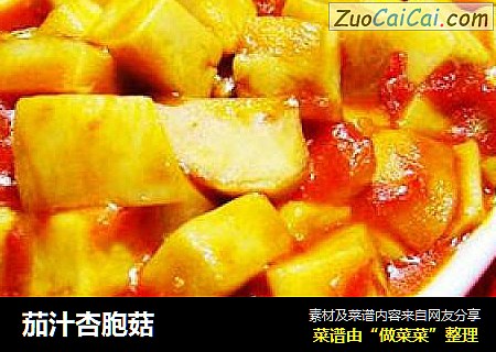茄汁杏胞菇