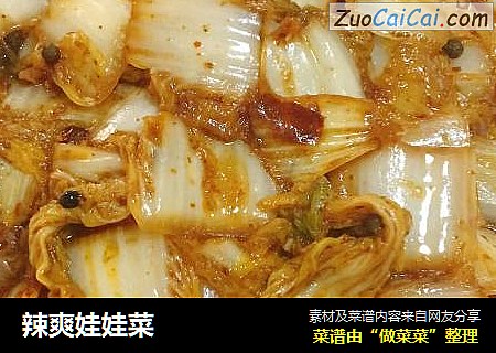 辣爽娃娃菜