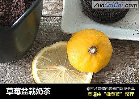 草莓盆栽奶茶
